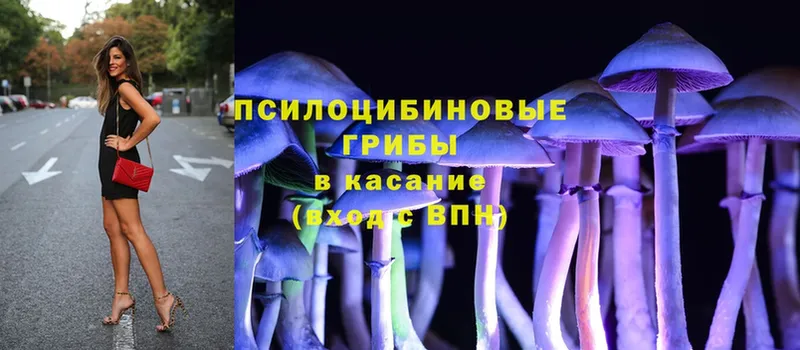 Галлюциногенные грибы MAGIC MUSHROOMS  Полярные Зори 